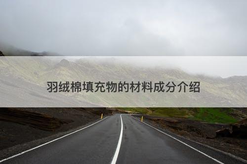 羽绒棉填充物的材料成分介绍