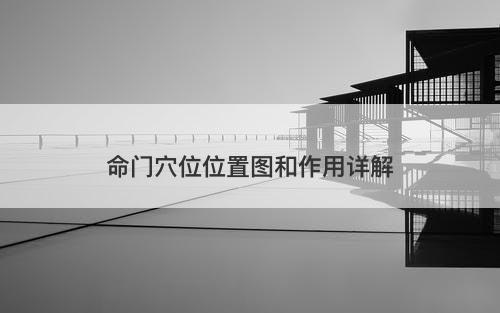 命门穴位位置图和作用详解