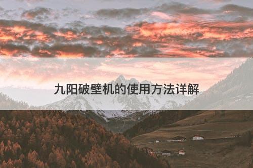 九阳破壁机的使用方法详解