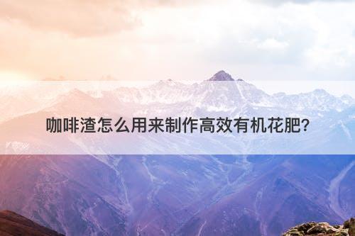 咖啡渣怎么用来制作高效有机花肥？