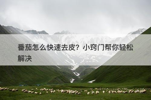 番茄怎么快速去皮？小窍门帮你轻松解决