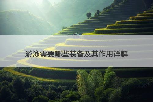 游泳需要哪些装备及其作用详解