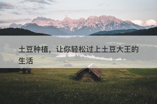 土豆种植，让你轻松过上土豆大王的生活