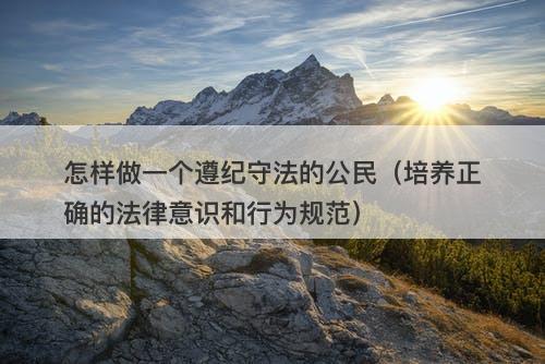怎样做一个遵纪守法的公民（培养正确的法律意识和行为规范）