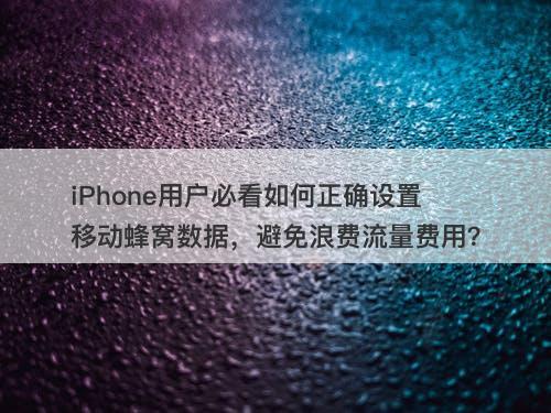 iPhone用户必看如何正确设置移动蜂窝数据，避免浪费流量费用？