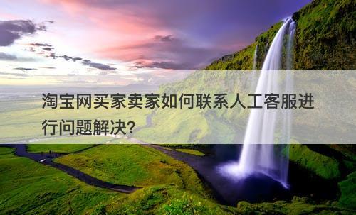 淘宝网买家卖家如何联系人工客服进行问题解决？