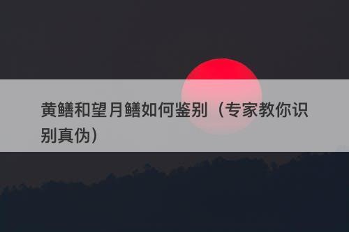 黄鳝和望月鳝如何鉴别（专家教你识别真伪）