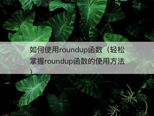 如何使用roundup函数（轻松掌握roundup函数的使用方法）