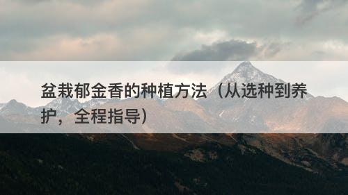 盆栽郁金香的种植方法（从选种到养护，全程指导）
