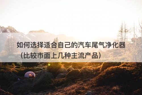 如何选择适合自己的汽车尾气净化器（比较市面上几种主流产品）