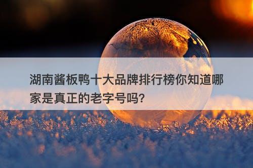 湖南酱板鸭十大品牌排行榜你知道哪家是真正的老字号吗？-图1