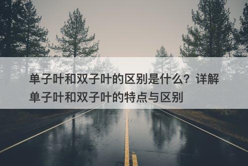 单子叶和双子叶的区别是什么？详解单子叶和双子叶的特点与区别-图1
