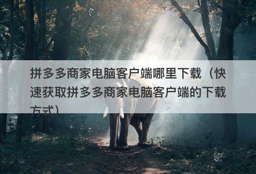 拼多多商家电脑客户端哪里下载（快速获取拼多多商家电脑客户端的下载方式）