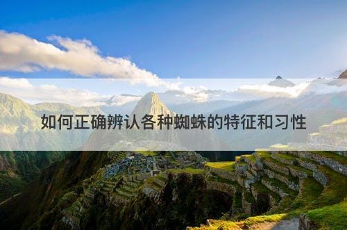 如何正确辨认各种蜘蛛的特征和习性