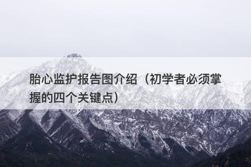 胎心监护报告图介绍（初学者必须掌握的四个关键点）
