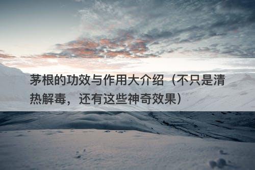 茅根的功效与作用大介绍（不只是清热解毒，还有这些神奇效果）