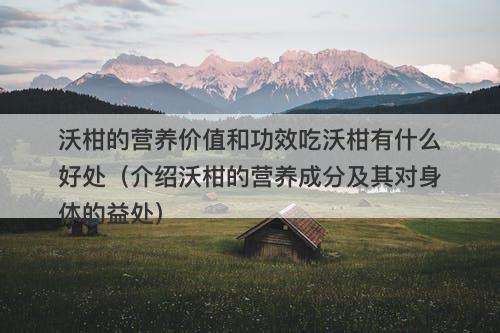 沃柑的营养价值和功效吃沃柑有什么好处（介绍沃柑的营养成分及其对身体的益处）