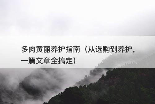 多肉黄丽养护指南（从选购到养护，一篇文章全搞定）