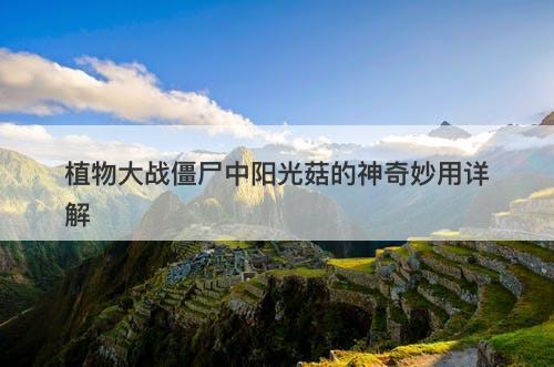 植物大战僵尸中阳光菇的神奇妙用详解
