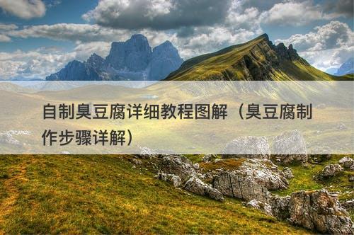 自制臭豆腐详细教程图解（臭豆腐制作步骤详解）