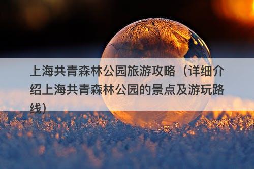 上海共青森林公园旅游攻略（详细介绍上海共青森林公园的景点及游玩路线）