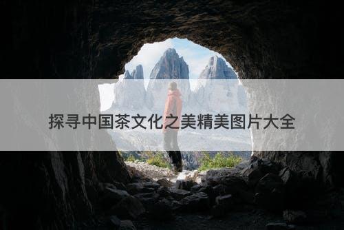 探寻中国茶文化之美精美图片大全