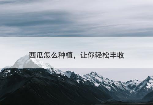 西瓜怎么种植，让你轻松丰收