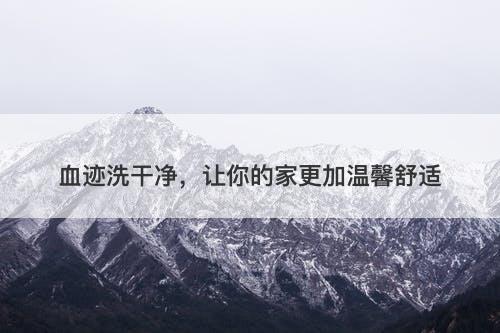 血迹洗干净，让你的家更加温馨舒适