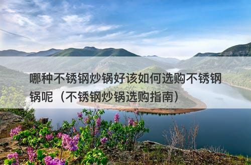 哪种不锈钢炒锅好该如何选购不锈钢锅呢（不锈钢炒锅选购指南）