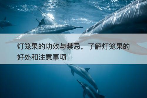 灯笼果的功效与禁忌，了解灯笼果的好处和注意事项