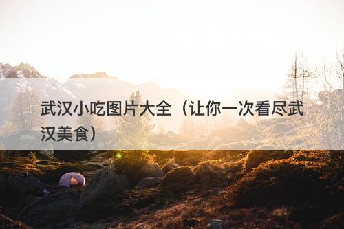 武汉小吃图片大全（让你一次看尽武汉美食）
