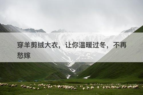 穿羊剪绒大衣，让你温暖过冬，不再愁嫁