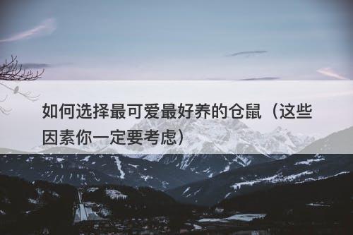如何选择最可爱最好养的仓鼠（这些因素你一定要考虑）