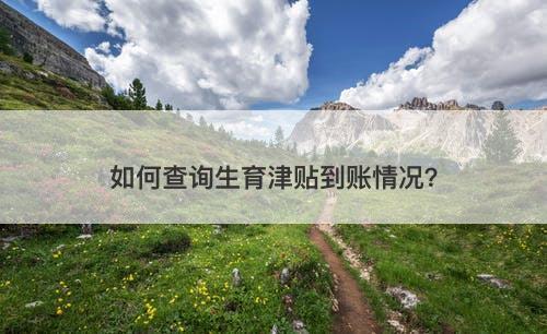 如何查询生育津贴到账情况？