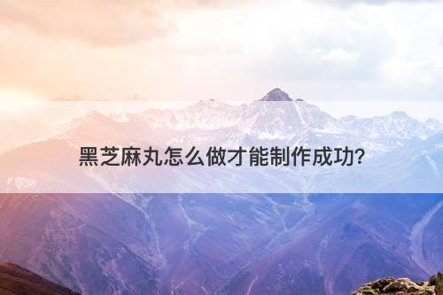 黑芝麻丸怎么做才能制作成功？