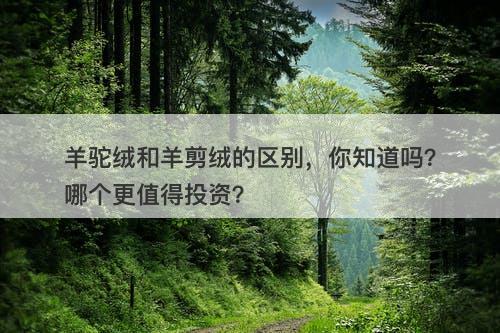 羊驼绒和羊剪绒的区别，你知道吗？哪个更值得投资？