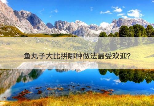 鱼丸子大比拼哪种做法最受欢迎？
