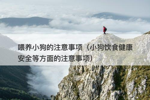 喂养小狗的注意事项（小狗饮食健康安全等方面的注意事项）