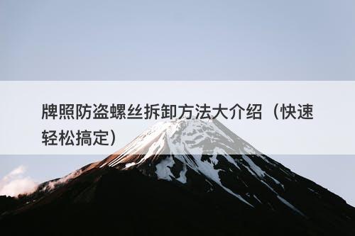 牌照防盗螺丝拆卸方法大介绍（快速轻松搞定）
