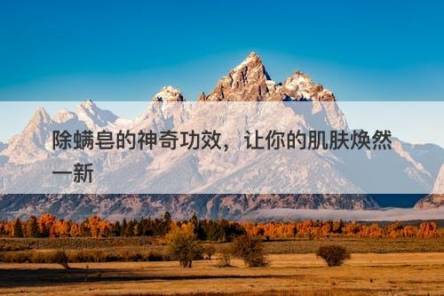 除螨皂的神奇功效，让你的肌肤焕然一新