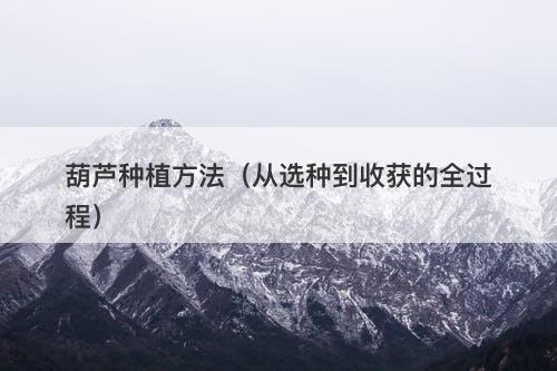 葫芦种植方法（从选种到收获的全过程）