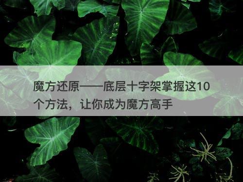 魔方还原——底层十字架掌握这10个方法，让你成为魔方高手