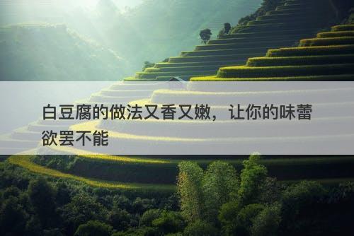 白豆腐的做法又香又嫩，让你的味蕾欲罢不能