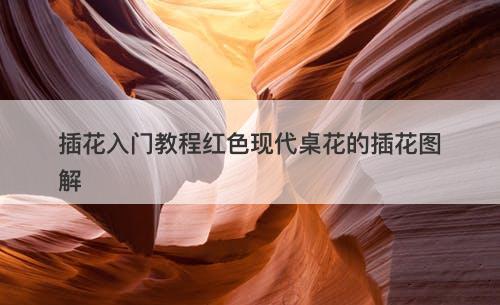 插花入门教程红色现代桌花的插花图解