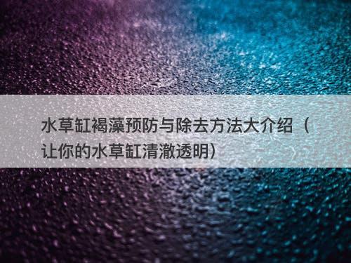 水草缸褐藻预防与除去方法大介绍（让你的水草缸清澈透明）