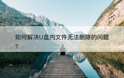 如何解决U盘内文件无法删除的问题？
