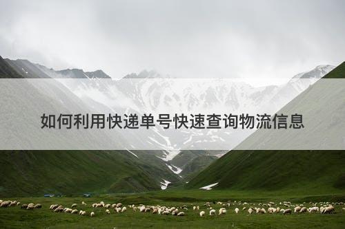 如何利用快递单号快速查询物流信息