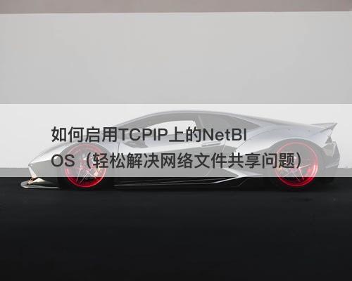 如何启用TCPIP上的NetBIOS（轻松解决网络文件共享问题）