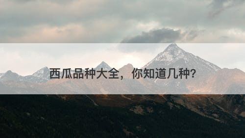 西瓜品种大全，你知道几种？