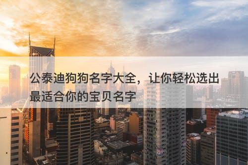 公泰迪狗狗名字大全，让你轻松选出最适合你的宝贝名字
